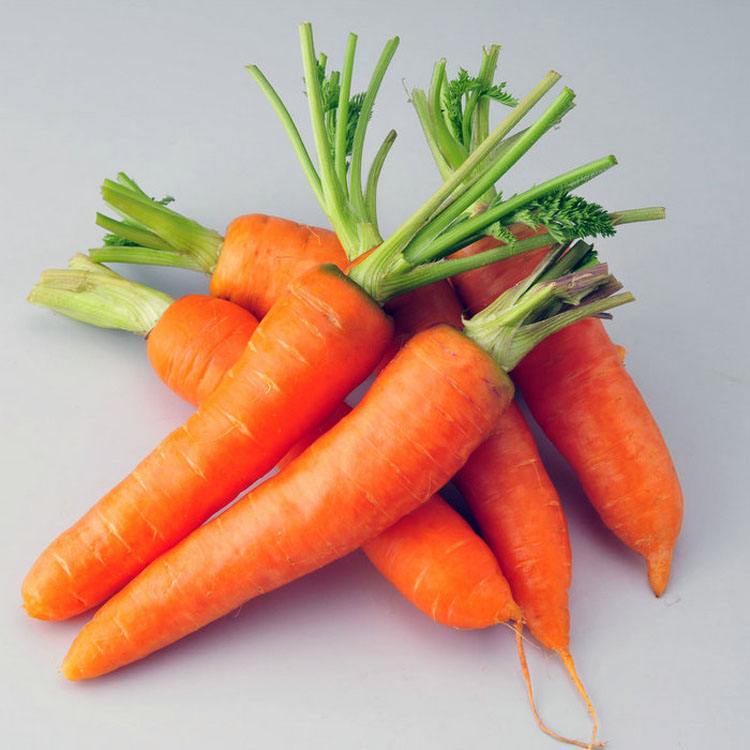 蔬菜配送—红萝卜(图1)