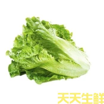 蔬菜配送—生菜(图1)