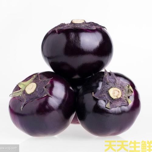 广州农产品配送公司告诉你，常见茄子的种类有哪些？(图2)
