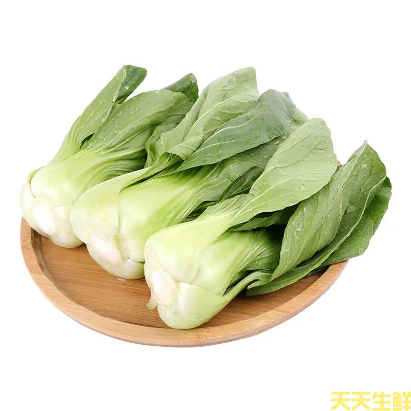 蔬菜配送—上海青(图1)