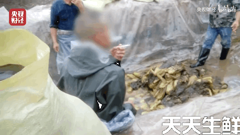 广州蔬菜配送公司分析，土坑酸菜到底坑害了谁？(图2)