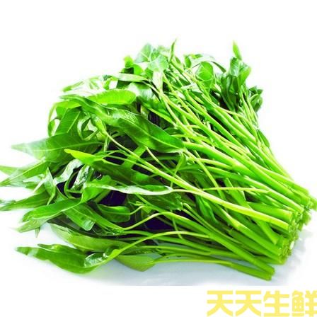 蔬菜配送—通菜(图1)