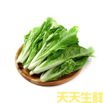 蔬菜配送—小白菜(图1)
