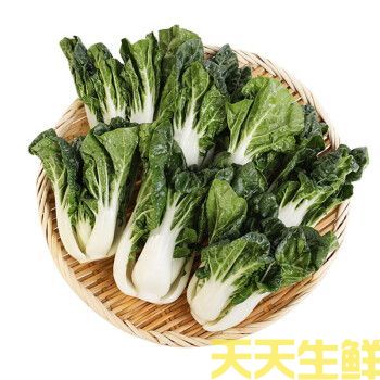 蔬菜配送—奶白菜(图1)