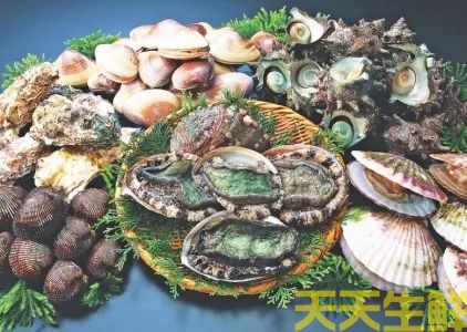 广州送菜公司分享：常见的海鲜贝类有哪些？(图1)