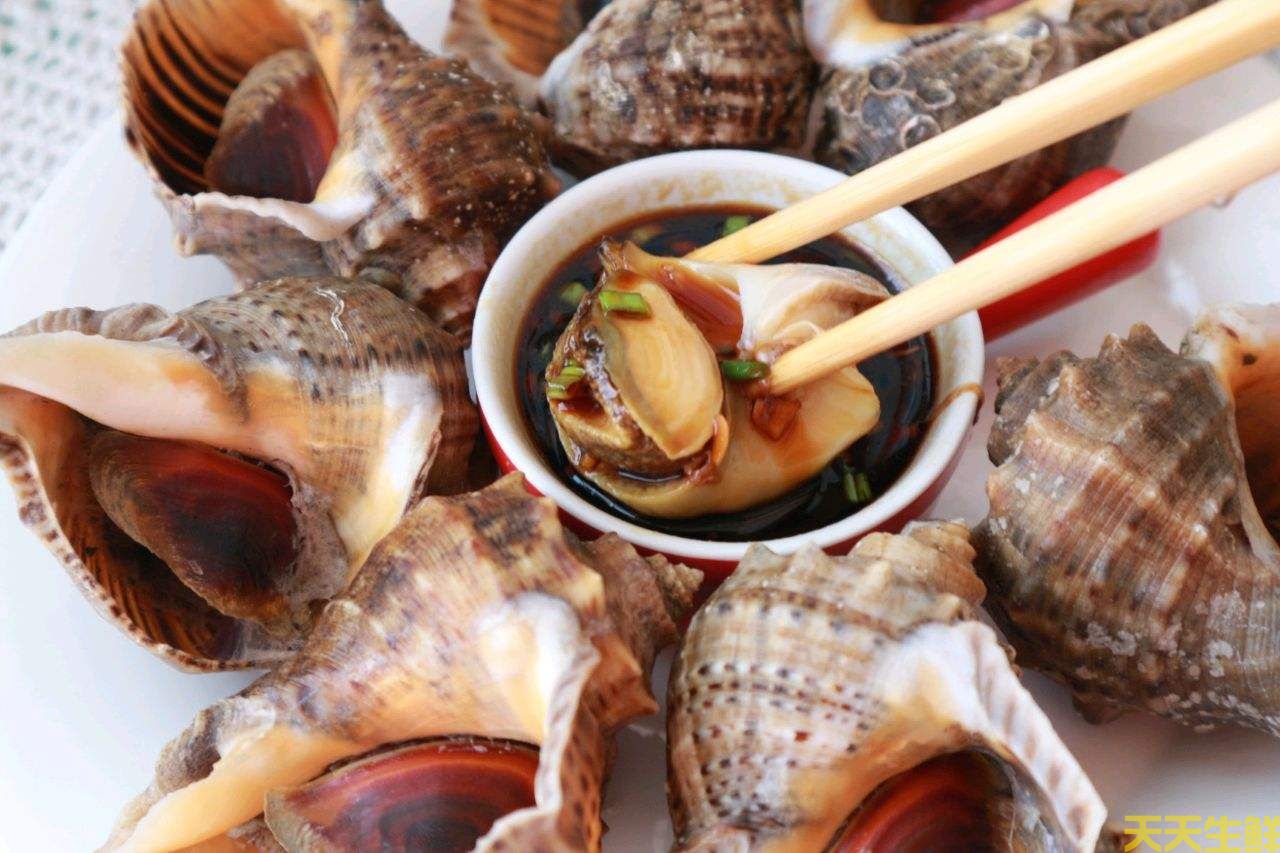 广州送菜公司分享：常见的海鲜贝类有哪些？(图10)