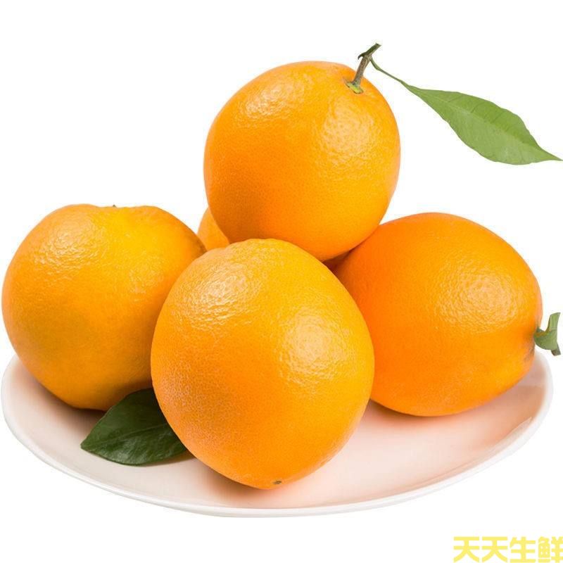 水果配送—脐橙(图1)