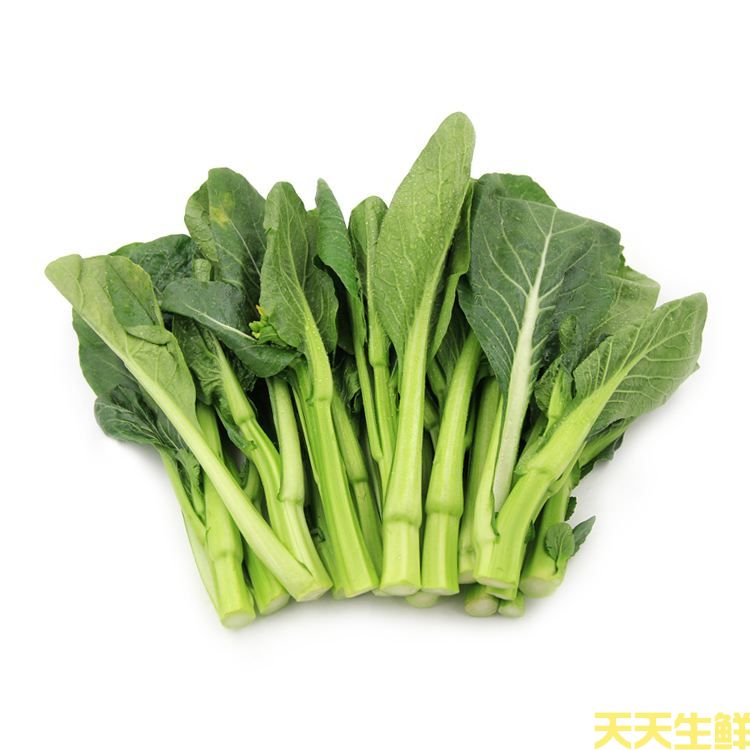 蔬菜配送—菜心(图1)