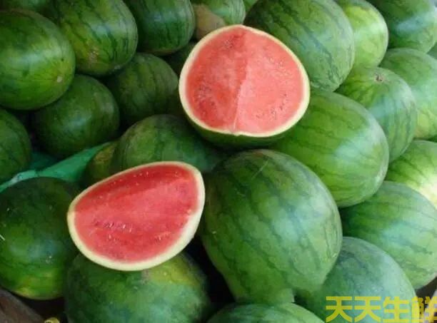 广州蔬菜配送公司分享:常见西瓜的品种有哪些？(图4)