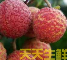 荔枝的品种有哪些？广州蔬菜配送公司科普(图15)