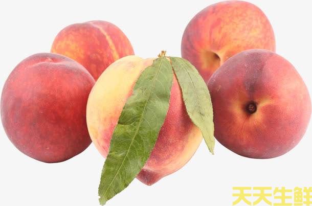 夏季炎热吃什么水果好？广州蔬菜配送公司分享6种消暑水果(图2)